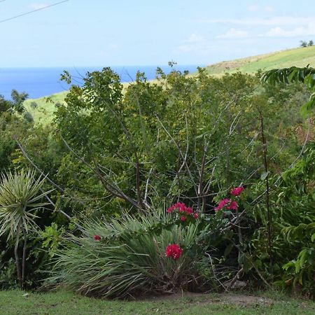 Appartement Vue Mer Le Carbet Luaran gambar
