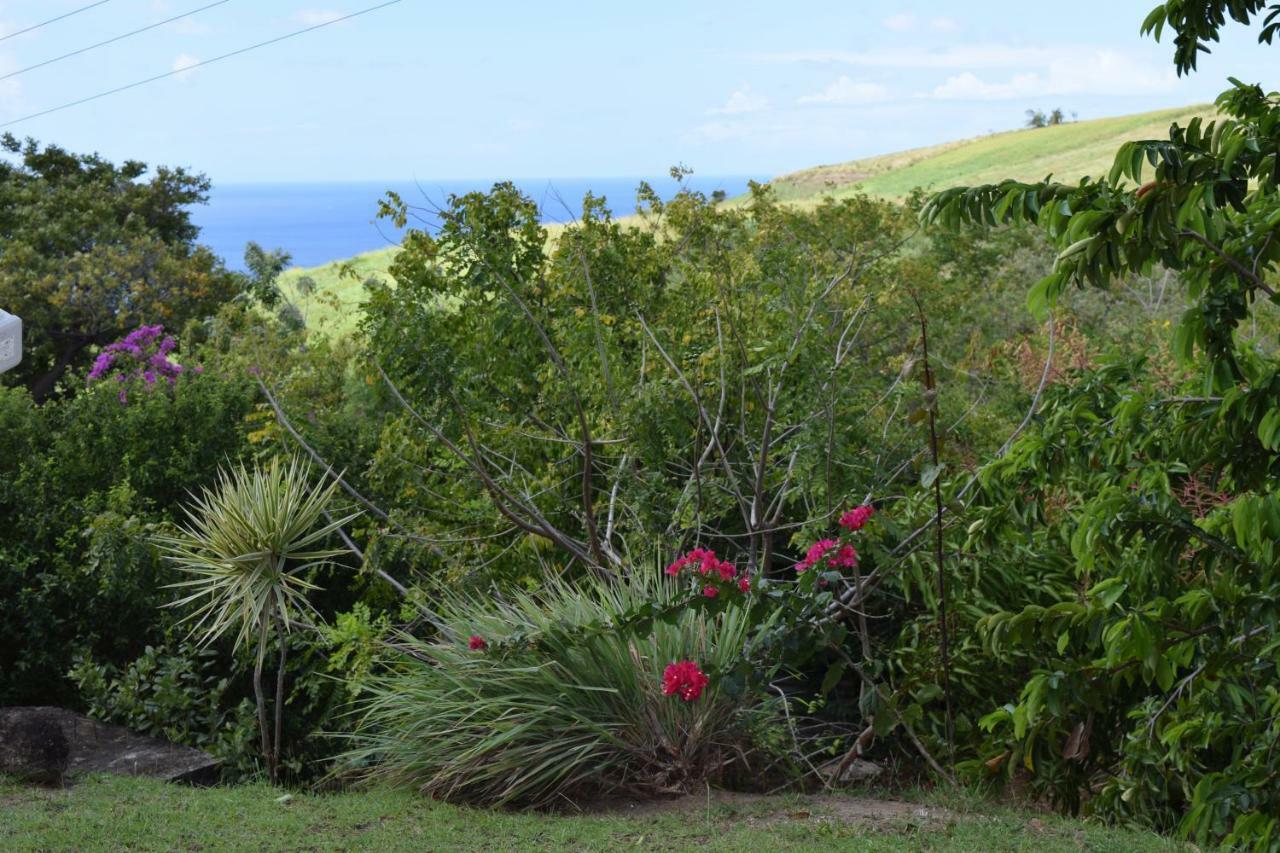 Appartement Vue Mer Le Carbet Luaran gambar